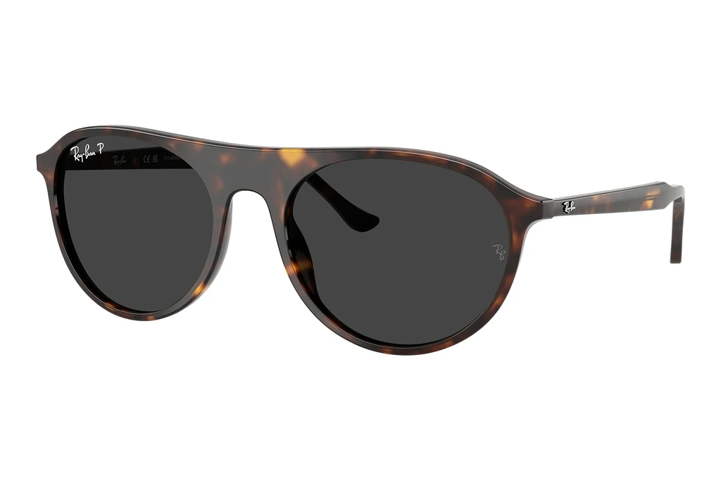 Ray-Ban   RB2215 902/48 Polar BlackHavana Ray-Ban   RB2215 902/48 Polar BlackHavana