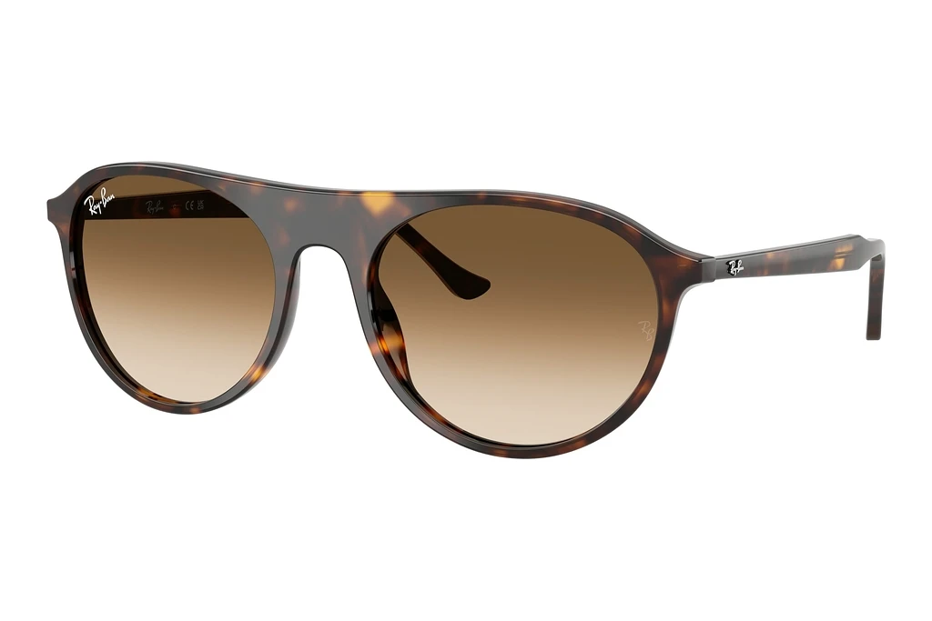 Ray-Ban   RB2215 902/51 Clear Gradient BrownHavana Ray-Ban   RB2215 902/51 Clear Gradient BrownHavana