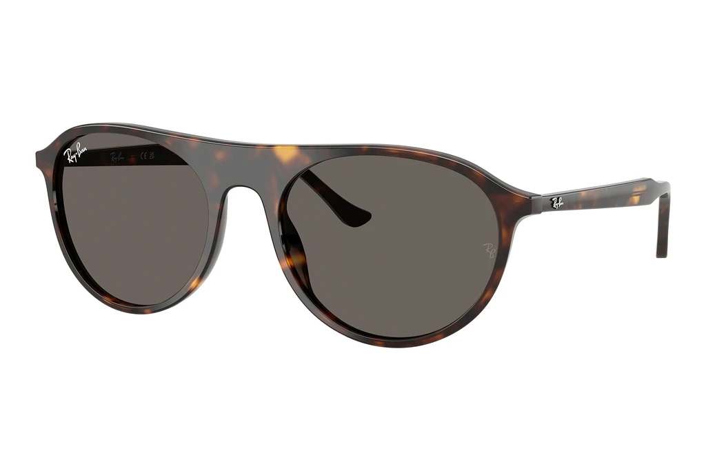 Ray-Ban   RB2215 902/B1 Dark GreyHavana Ray-Ban   RB2215 902/B1 Dark GreyHavana