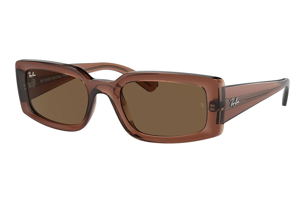Ray-Ban   RB4395 667873 Dark BrownTransparent Brown Ray-Ban   RB4395 667873 Dark BrownTransparent Brown