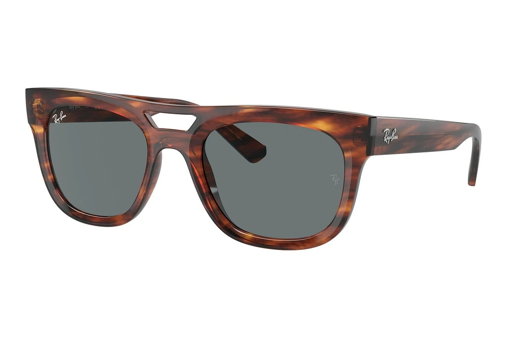 Ray-Ban   RB4426 139880 Dark BlueStriped Havana Ray-Ban   RB4426 139880 Dark BlueStriped Havana