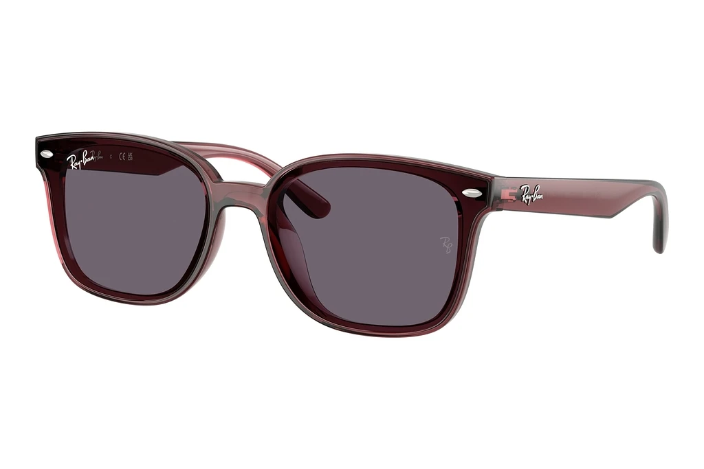 Ray-Ban   RB4461D 659373 VioletTransparent Dark Brown Ray-Ban   RB4461D 659373 VioletTransparent Dark Brown