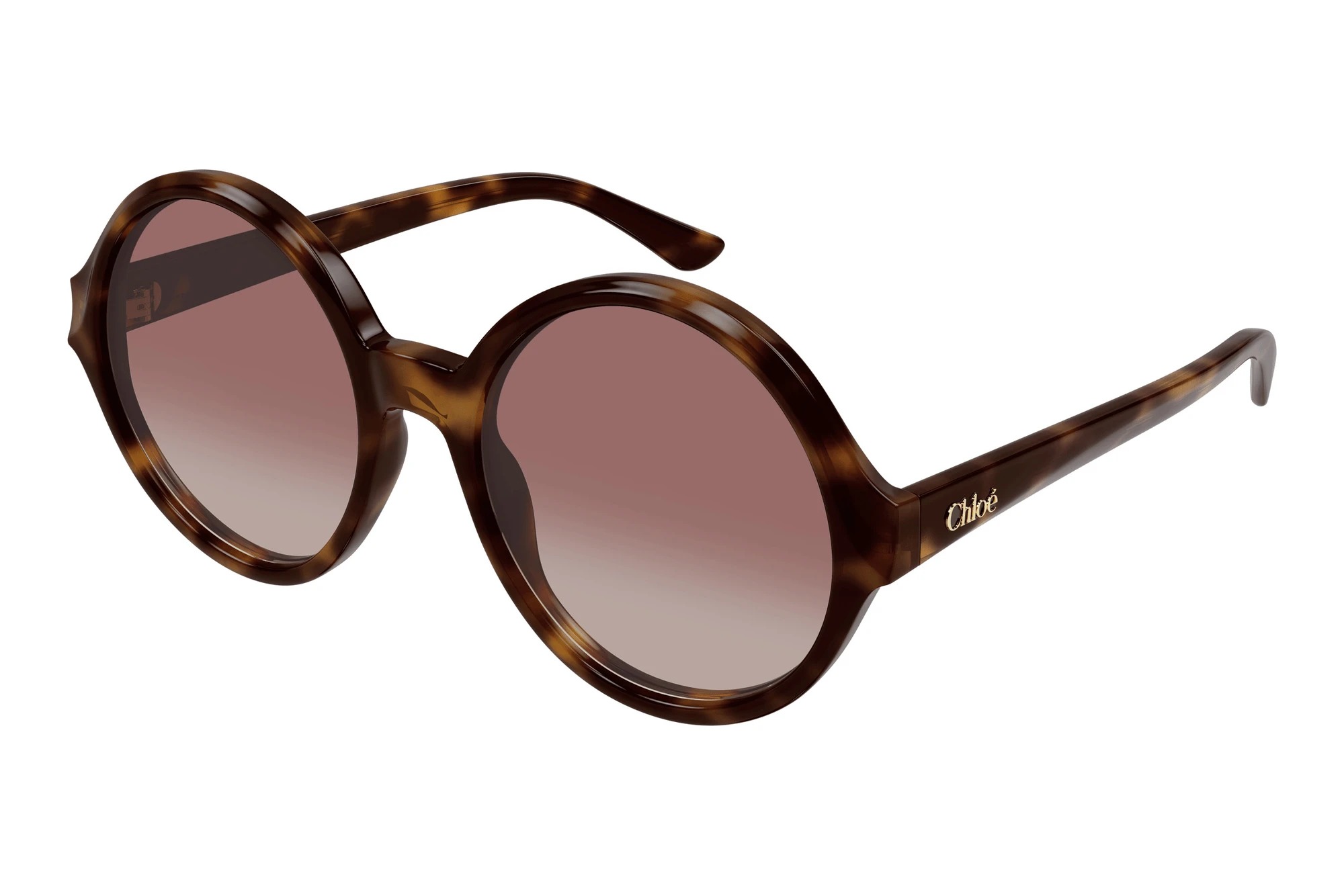 Chloé CH0290S 003 HAVANA Chloé CH0290S 003 HAVANA