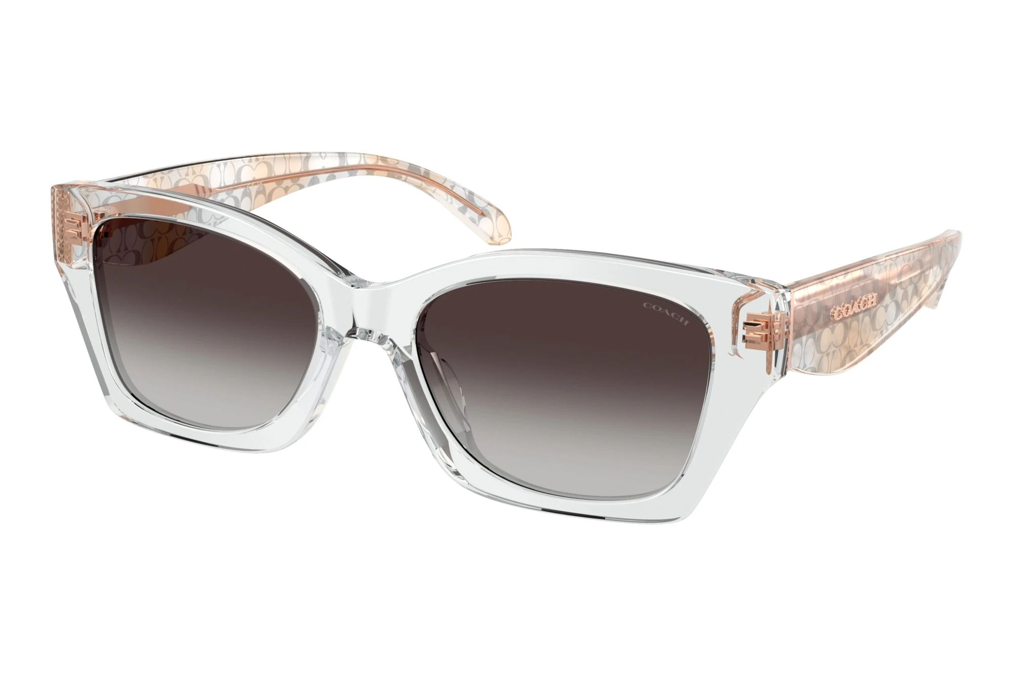 Coach HC8451U 59358G Grey GradientTransparent Grey Coach HC8451U 59358G Grey GradientTransparent Grey