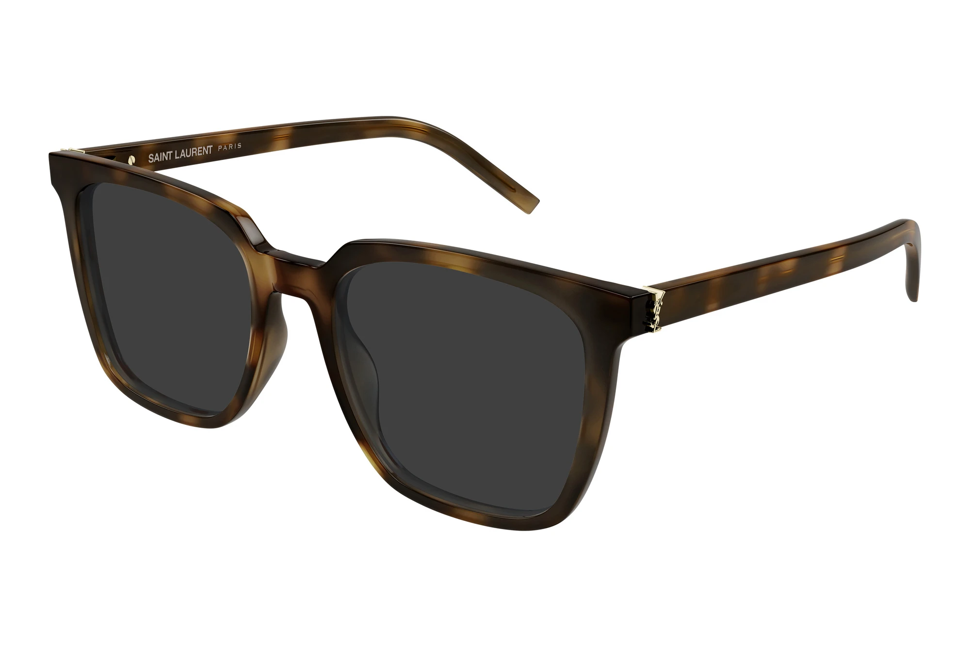 Saint Laurent SL M146 003 HAVANA Saint Laurent SL M146 003 HAVANA