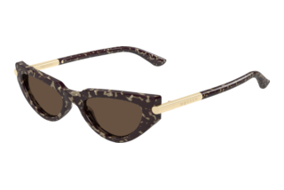 Alexander McQueen AM0520S 002 HAVANA