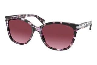 Coach HC8132 55488H Burgundy GradientPurple Tortoise