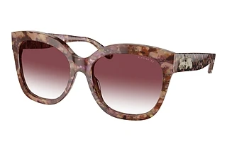 Coach HC8264 57398H Purple Clear GradientPetal Tortoise