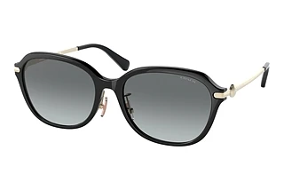 Coach HC8332D 500211 Grey GradientBlack