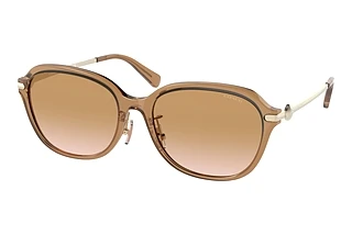 Coach HC8332D 565413 Brown GradientTransparent Brown