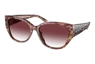 Coach HC8362U 57398H Purple Clear GradientPetal Tortoise