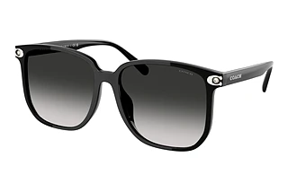 Coach HC8413BD 50023C Grey GradientBlack