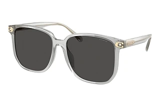 Coach HC8413BD 561487 Grey SolidTransparent Dove