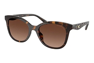 Coach HC8419U 5120T5 Brown Gradient PolarDark Tortoise