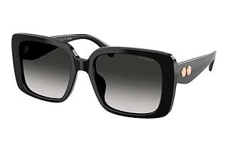 Coach HC8424U 50023C Grey GradientBlack