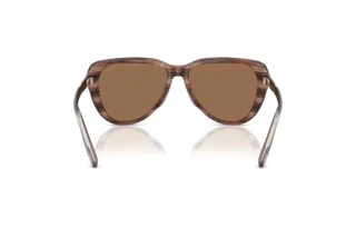 Rückansicht Diesel DL2011U (203673)