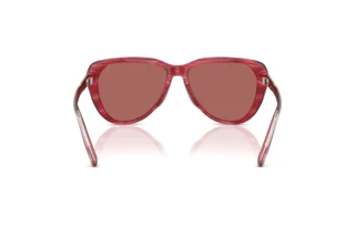 Rückansicht Diesel DL2011U (203869)