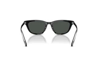 Rückansicht Diesel DL2012U (200187)