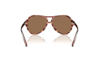 Rückansicht Diesel DL2013U (203673)