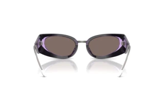 Rückansicht Diesel DL2014U (20452S)