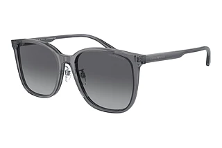 Emporio Armani EA4206D 5029T3 Polar Grey GradientShiny Transparent Grey