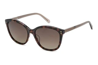 Fossil FOS 2148/S 210/HA COPPER