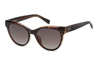 Fossil FOS 3172/S 086/HA BROWN SHADEDHAVANNA