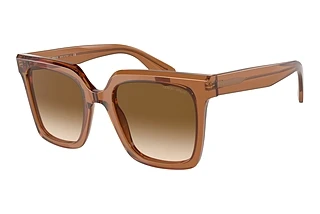 Giorgio Armani AR8156 593251