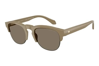 Giorgio Armani AR8238 622273 BrownBeige