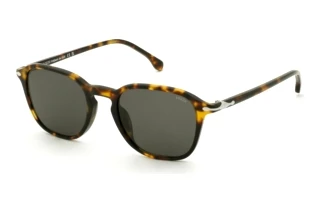 Lozza SL4431 0743 GREY/GREENSHINY BROWN/YELLOW HAVANA