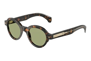 Moncler ME6003 300682 GreenBrown Green Havana