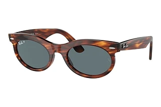 Ray-Ban RB2242 954/3R Dark BlueStriped Havana