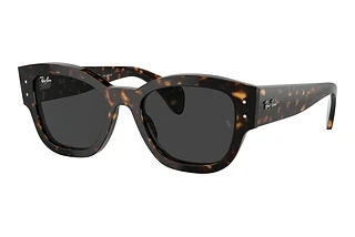 Ray-Ban RB7681S 902/48 BlackHavana