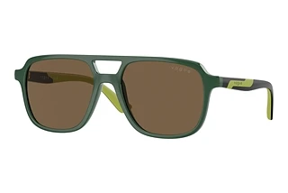 Vogue Eyewear VJ2024 312673 Dark BrownDark Green
