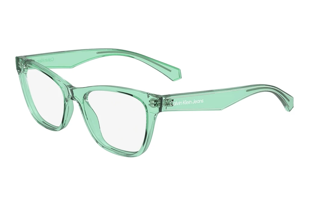 Calvin Klein   CKJ24304 300 GREEN GREEN