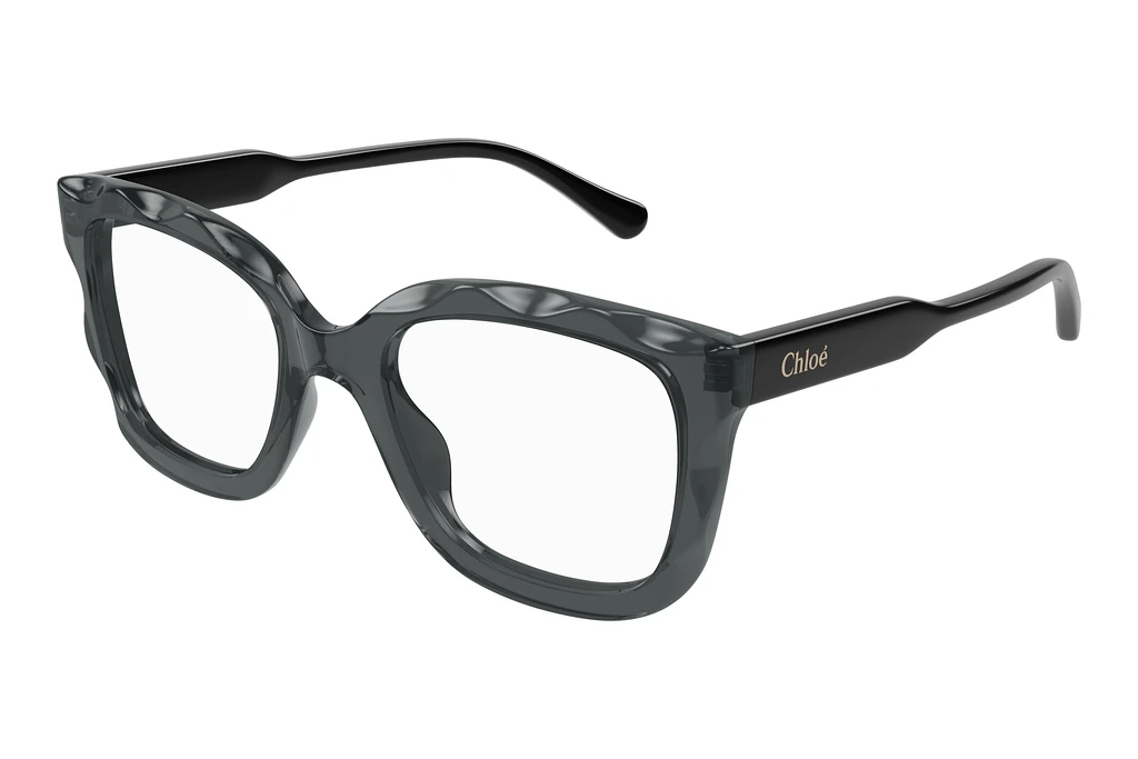 Chloé   CH0229O 001 GREY