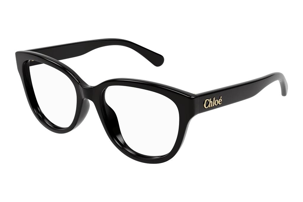 Chloé   CH0243O 005 BLACK