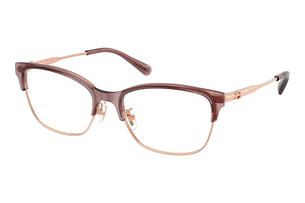 Coach   HC5184 9461 Shiny Rose Gold/Grape