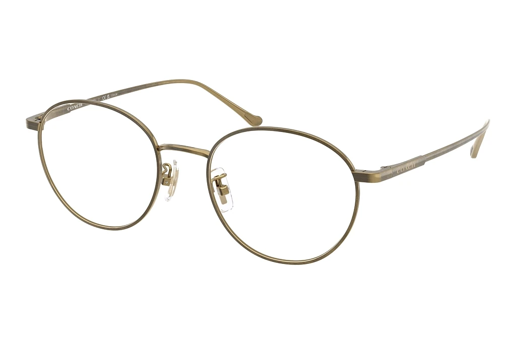 Coach   HC5190TD 9333 Antique Gold