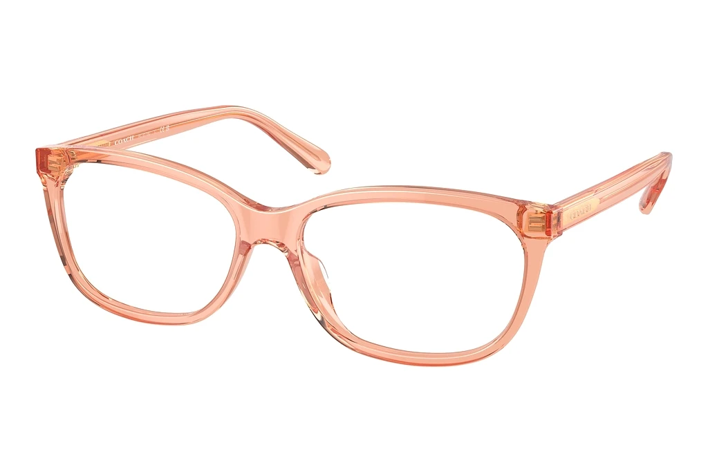 Coach   HC6139U 5822 Transparent Saddle