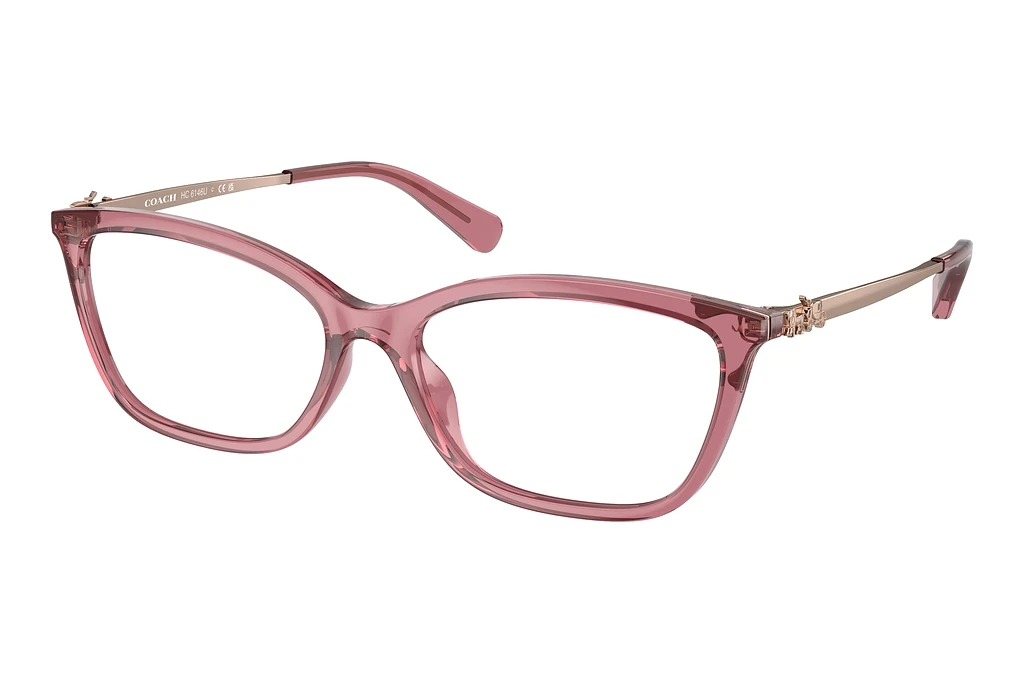 Coach   HC6146U 5800 Transparent Berry