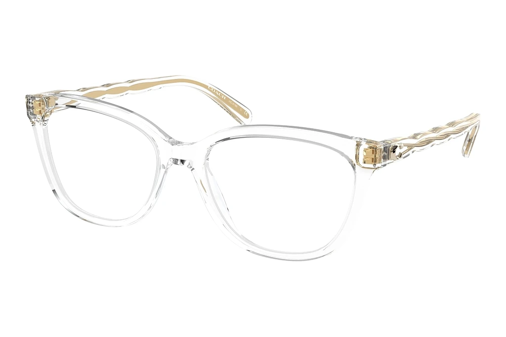 Coach   HC6186 5111 Clear