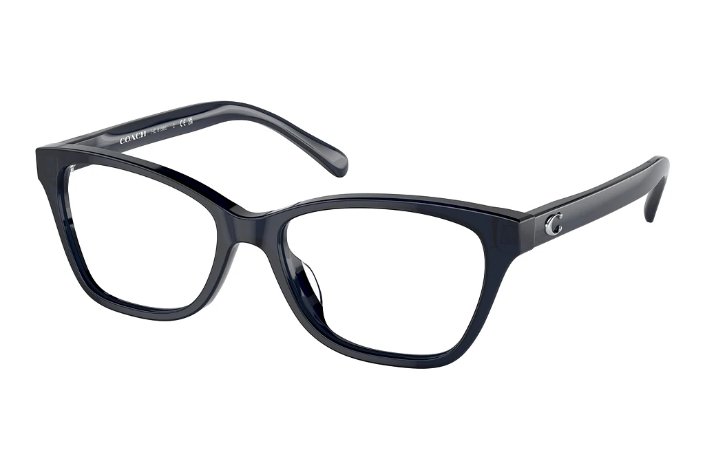 Coach   HC6196U 5714 Transparent Blue