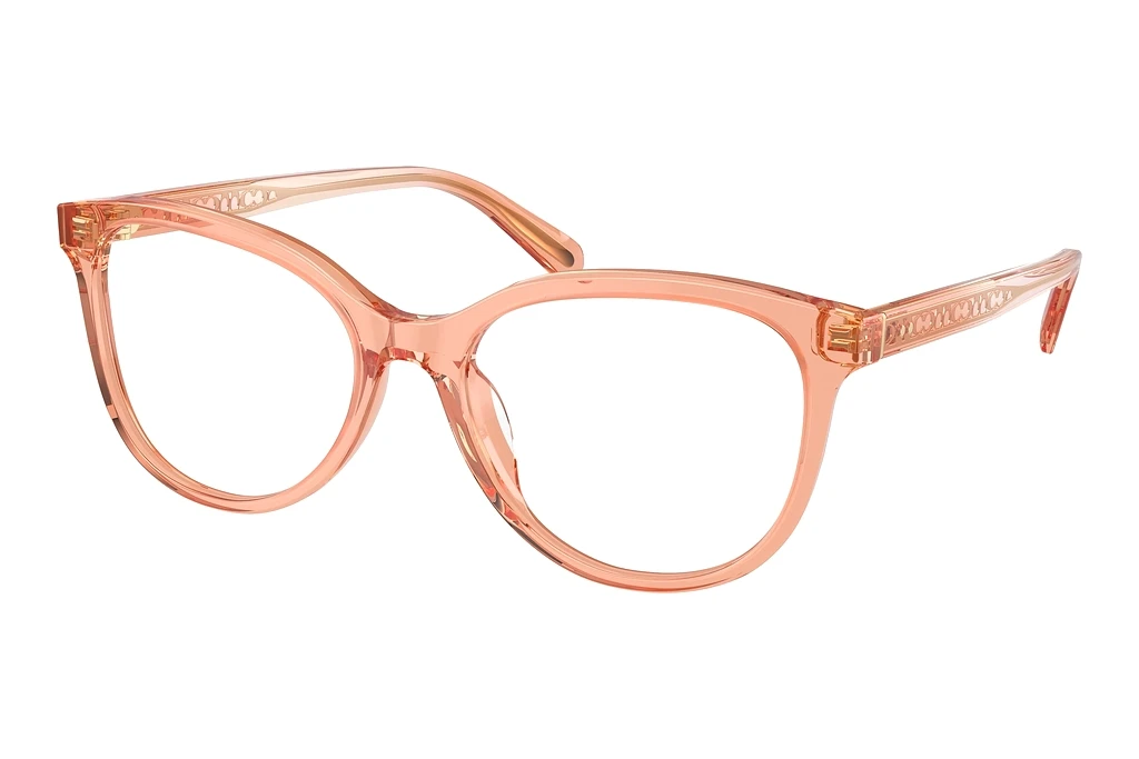 Coach   HC6236U 5822 Transparent Saddle