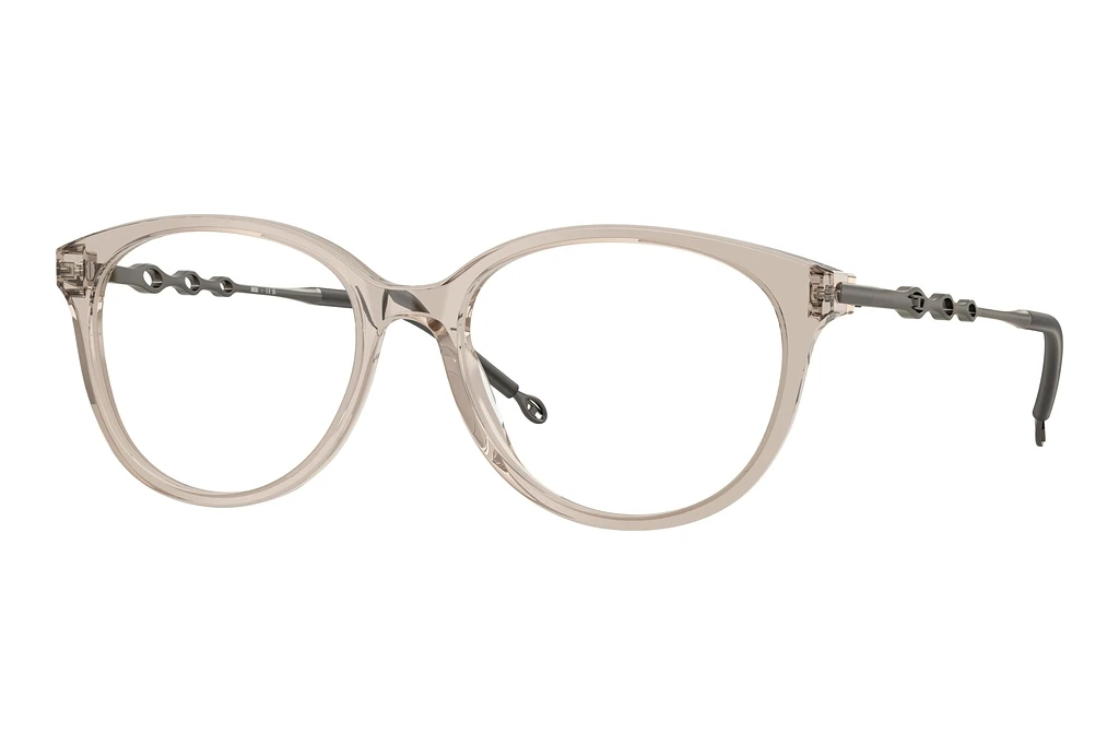 Diesel   DL4007 2007 Transparent Taupe