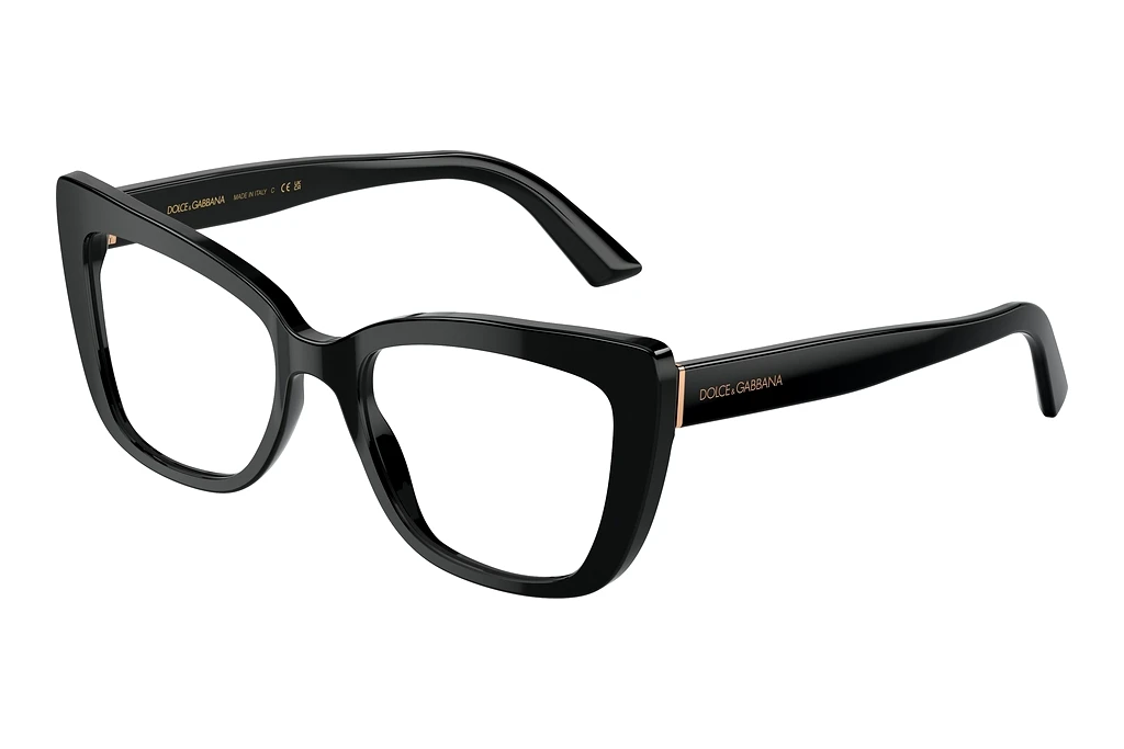 Dolce & Gabbana   DG3308 501 Black