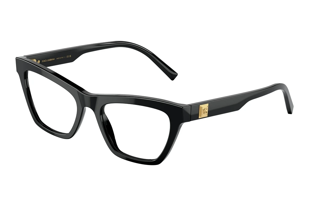 Dolce & Gabbana   DG3359 501 Black