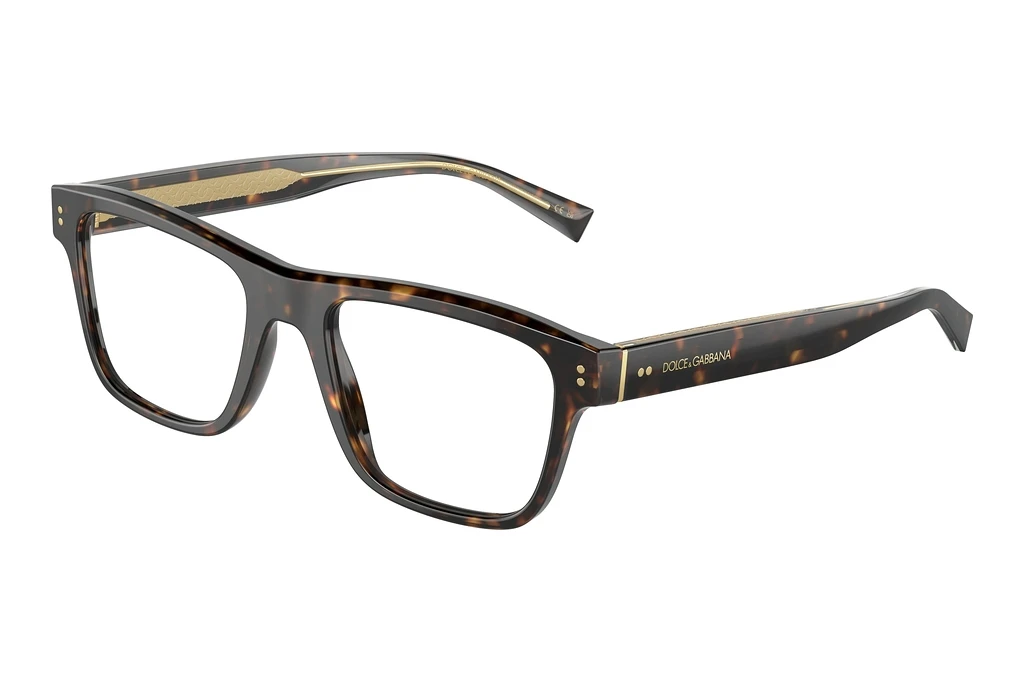 Dolce & Gabbana   DG3362 502 Havana