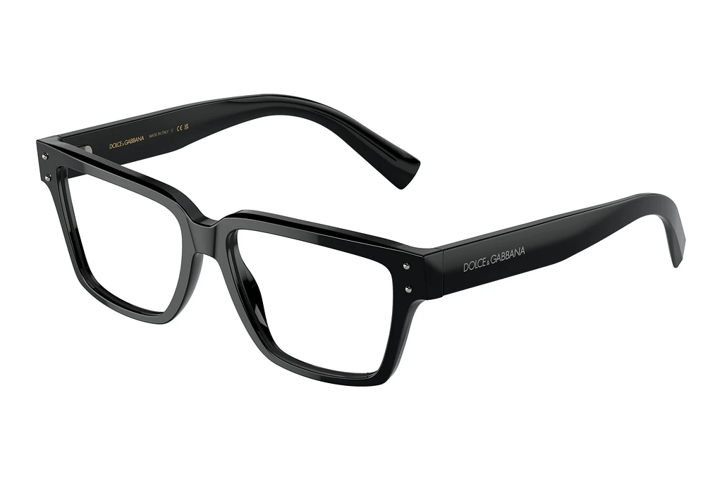 Dolce & Gabbana   DG3383 501 Black