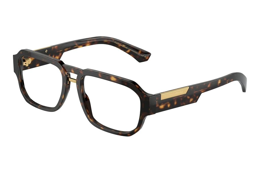 Dolce & Gabbana   DG3389 502 Havana